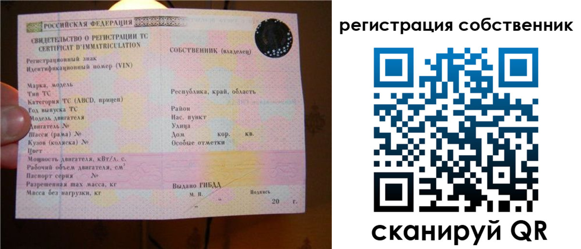 прописка иностранных граждан в Калтане
